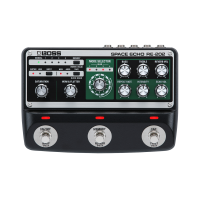 Boss RE-202 Space Echo Pedaal