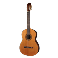 Salvador Cortez CC-15 Student Cedar Klassieke Gitaar