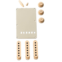 Fender Accessory Kit, Stratocaster, Aged White