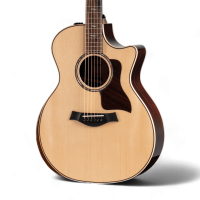 Taylor 814CE V-Class Bracing