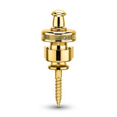 Schaller Security S-Lock Gold