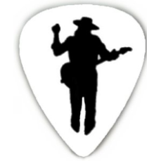 SRV zeer exclusief plectrum 2-zijdig