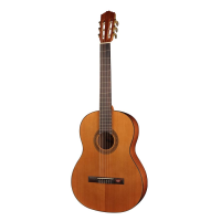 Salvador Cortez CC-10 Student Cedar Klassieke Gitaar